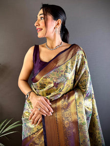 Purple Dharmavaram Butterfly Silk Saree