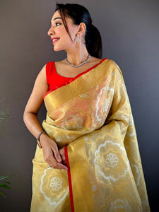 Minakari Floral Saree With Red Tassels