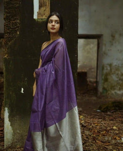 Best Combination Of Blue saree and silver zari